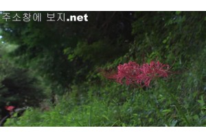 야동주소:https://yadongkuk25.com/bbs/board.php?bo_table=3D&wr_id=812&page=8[품번:812]