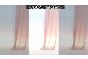 야동국 성인사이트