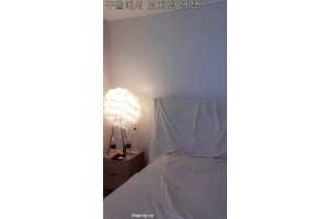야동국 성인사이트