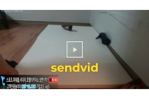 야동주소:https://yadongkuk25.com/bbs/board.php?bo_table=glgl&wr_id=519&page=123[품번:519]